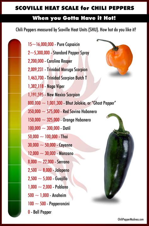 chili pepper comparison chart